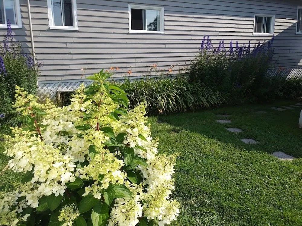 Hotel Motel Rocher Percé B&B - фото 17