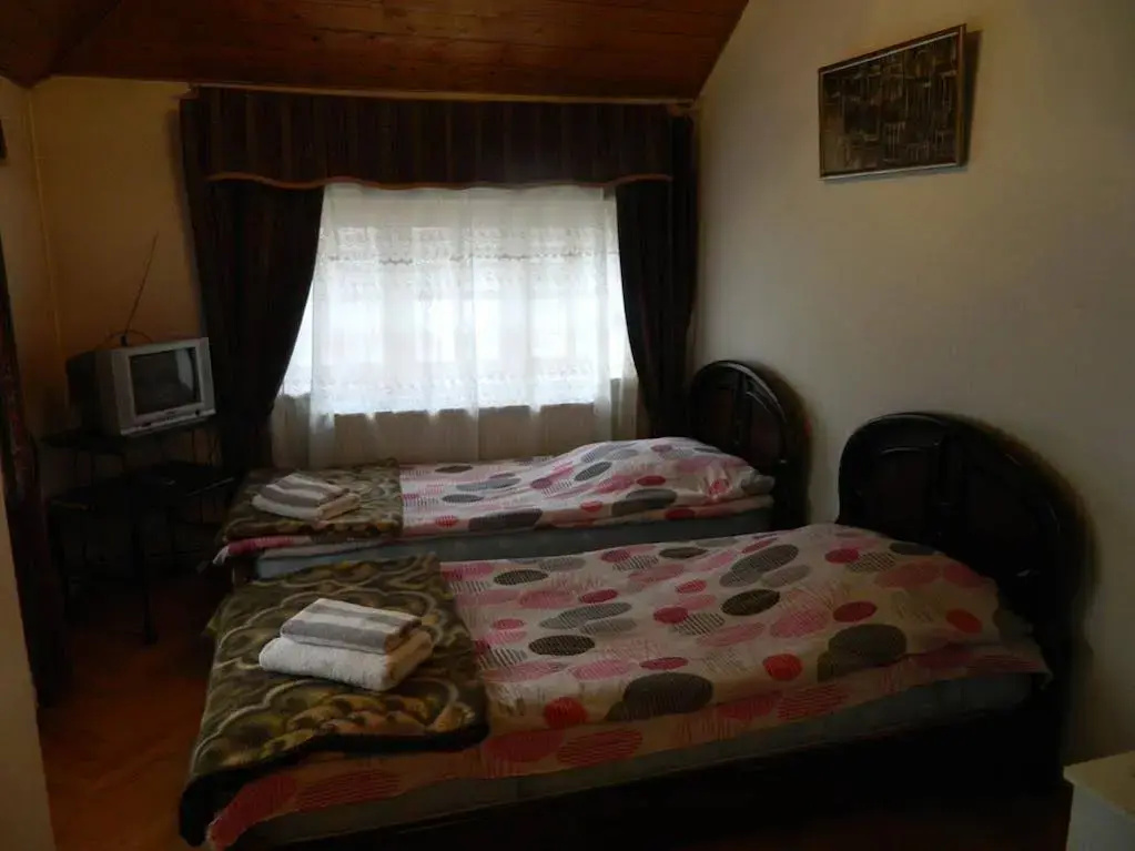 Dzveli Ubani Hotel - Général