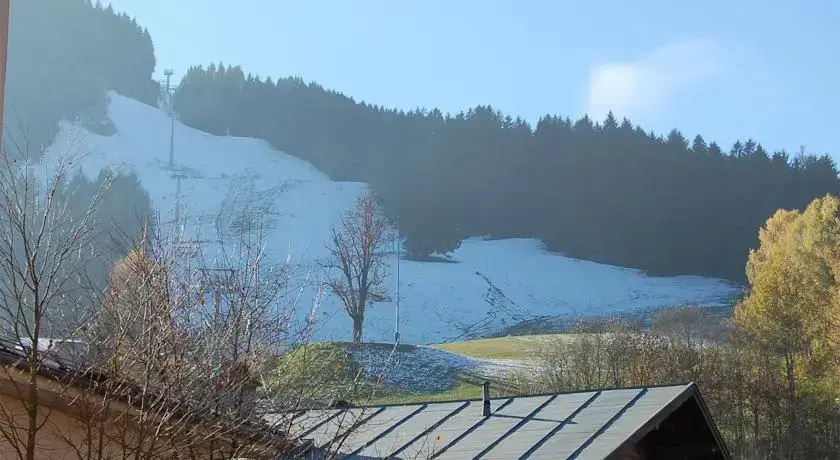 Appartementhaus Zell City - Général