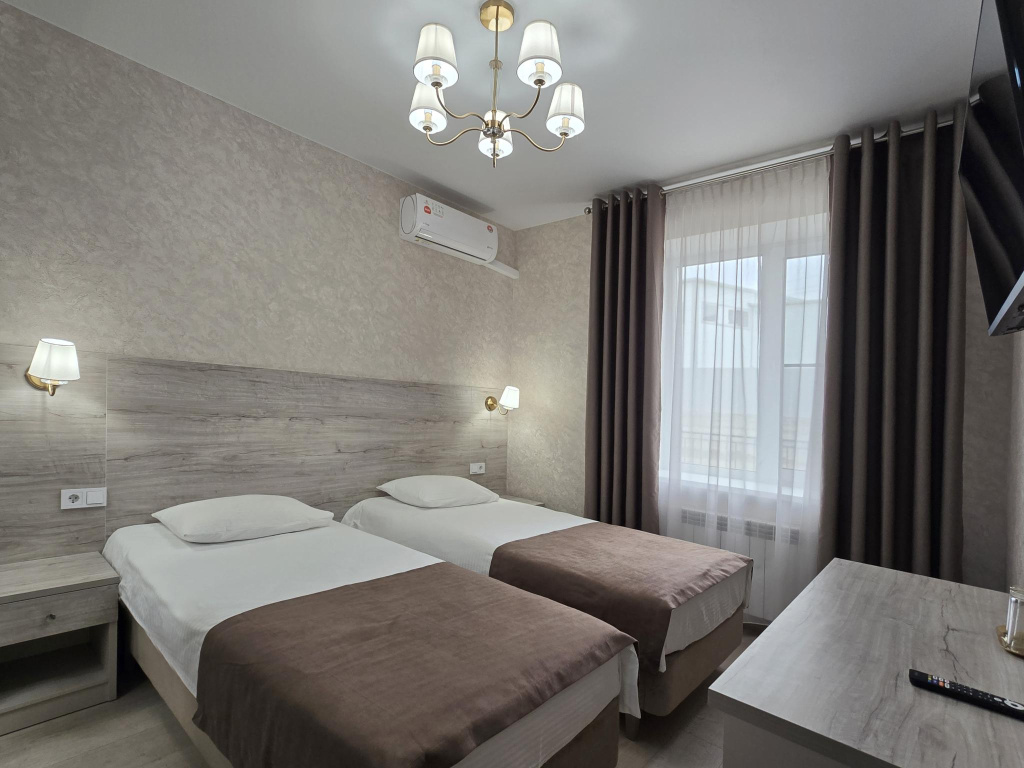 Standard Double room (twin beds)