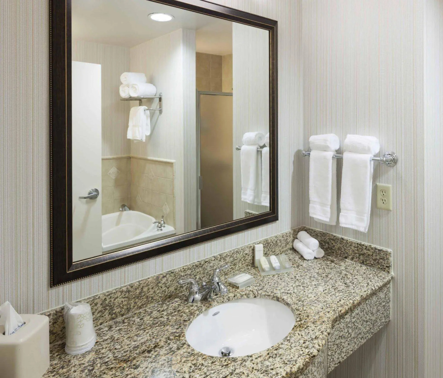 Hilton Garden Inn Dallas Lewisville - Général