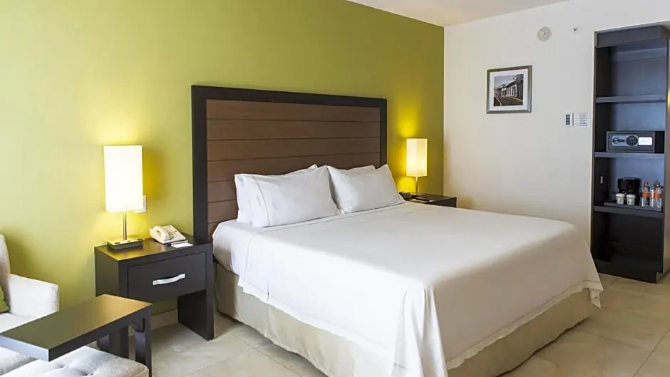 Holiday Inn Express Xalapa by IHG - Chambres