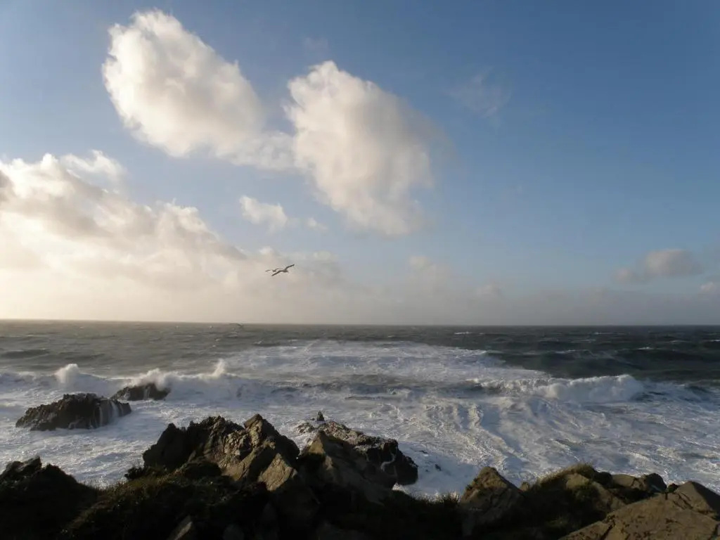 Hartland Quay Hotel - Chambres
