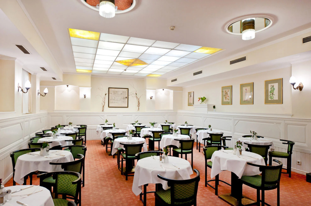 Hotel Johann Strauss - Général