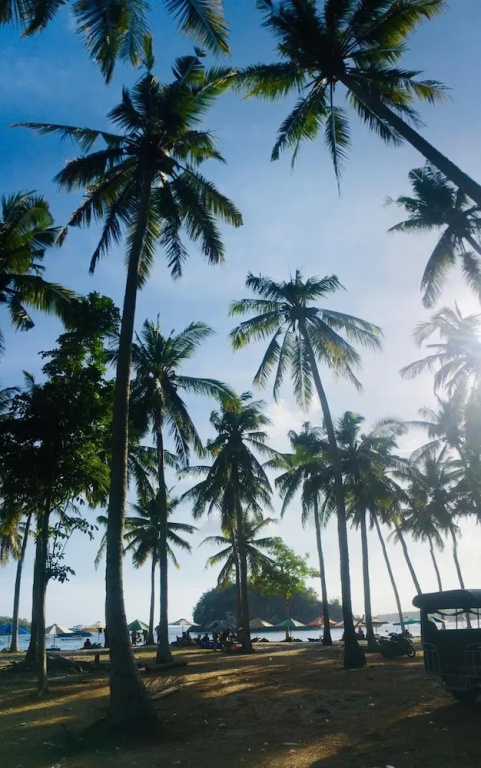 Beach & Waterfront