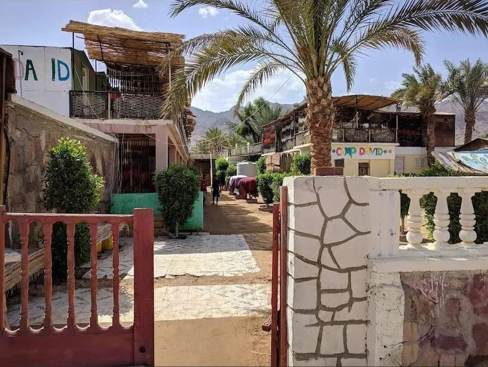 White palace camp ex camp david - фото 20