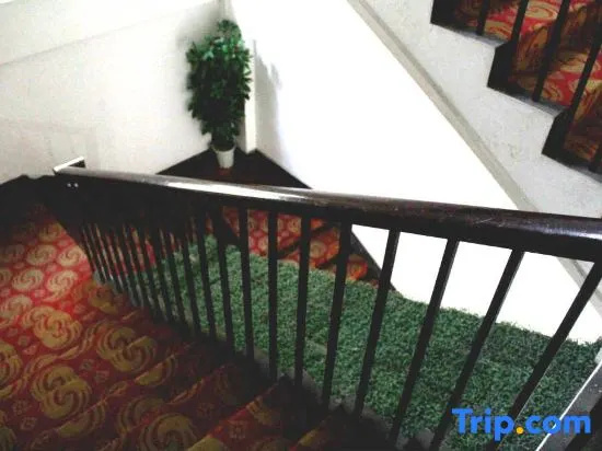 Balcony & Terrace