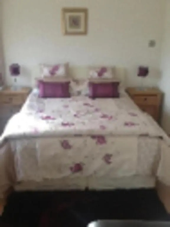 Standard Double room with balcony (full double bed)