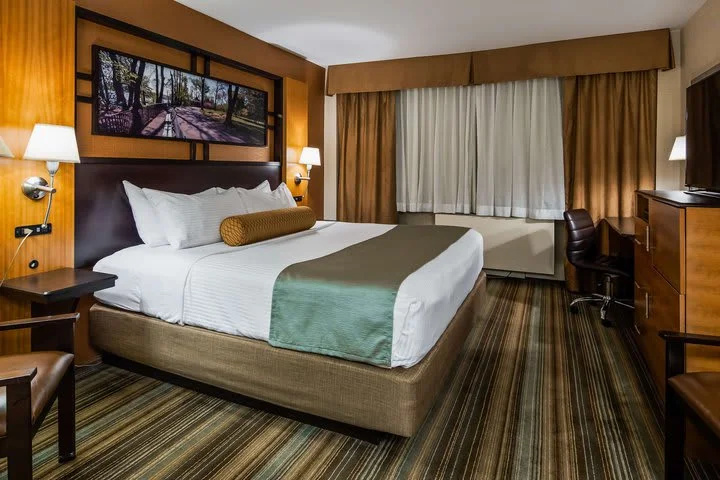 Economy room