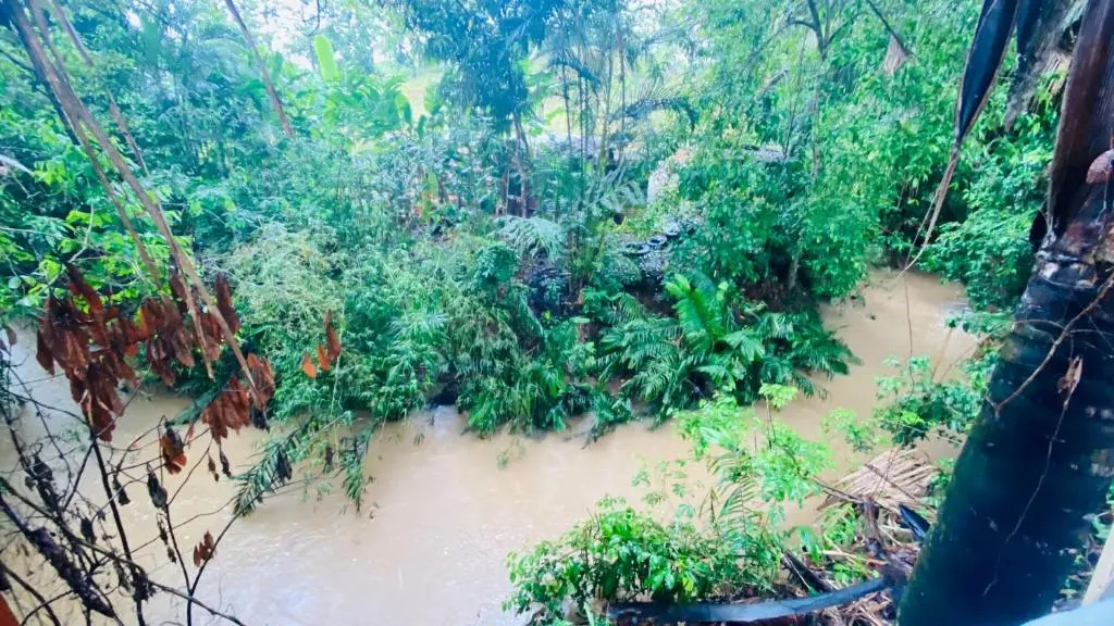 Bungalow with garden view