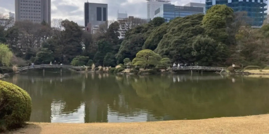 Tokyu Stay Yoga - Général