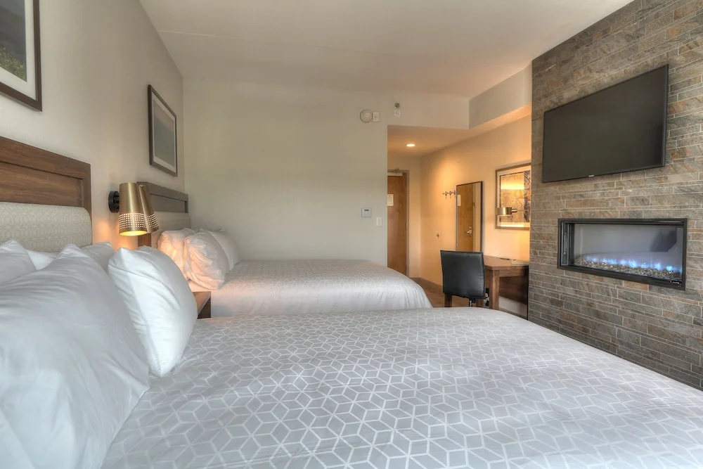 1 Bedroom Suite