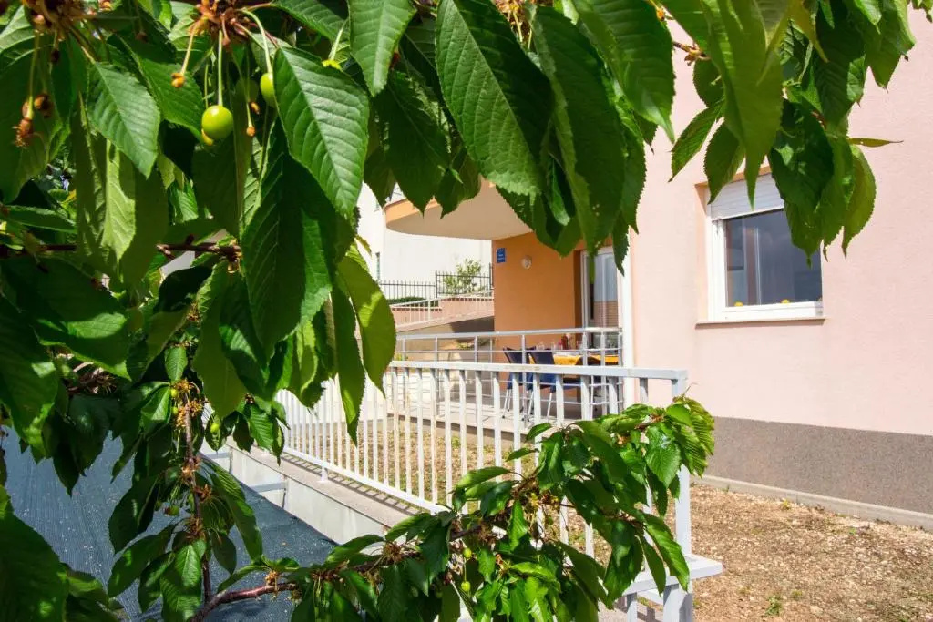 Apartment Jusepe