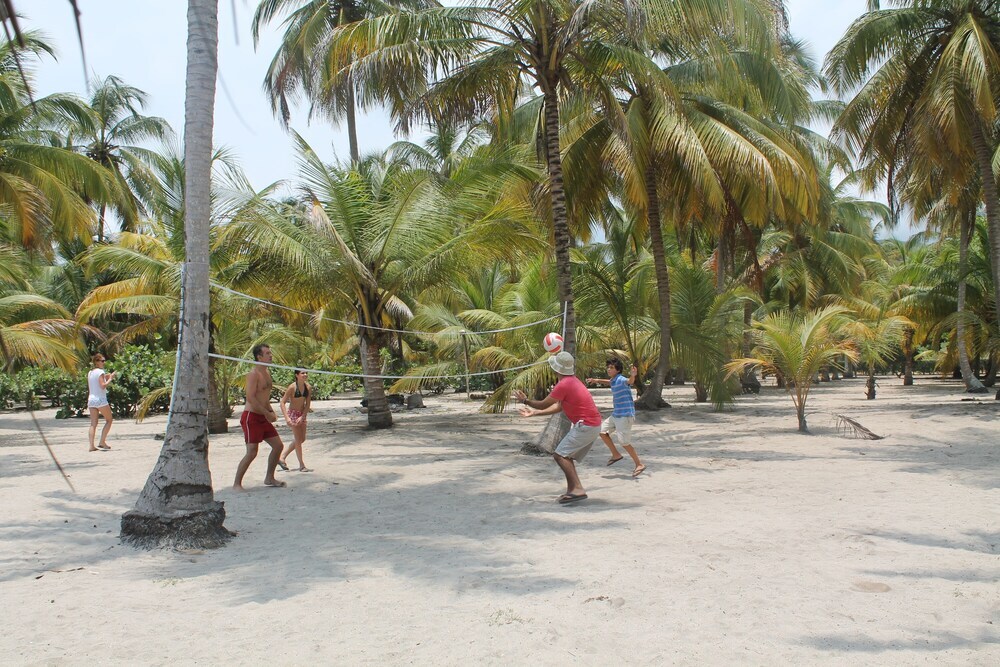 Image 32