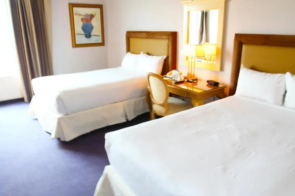 Standard Double room with river view (full double bed)