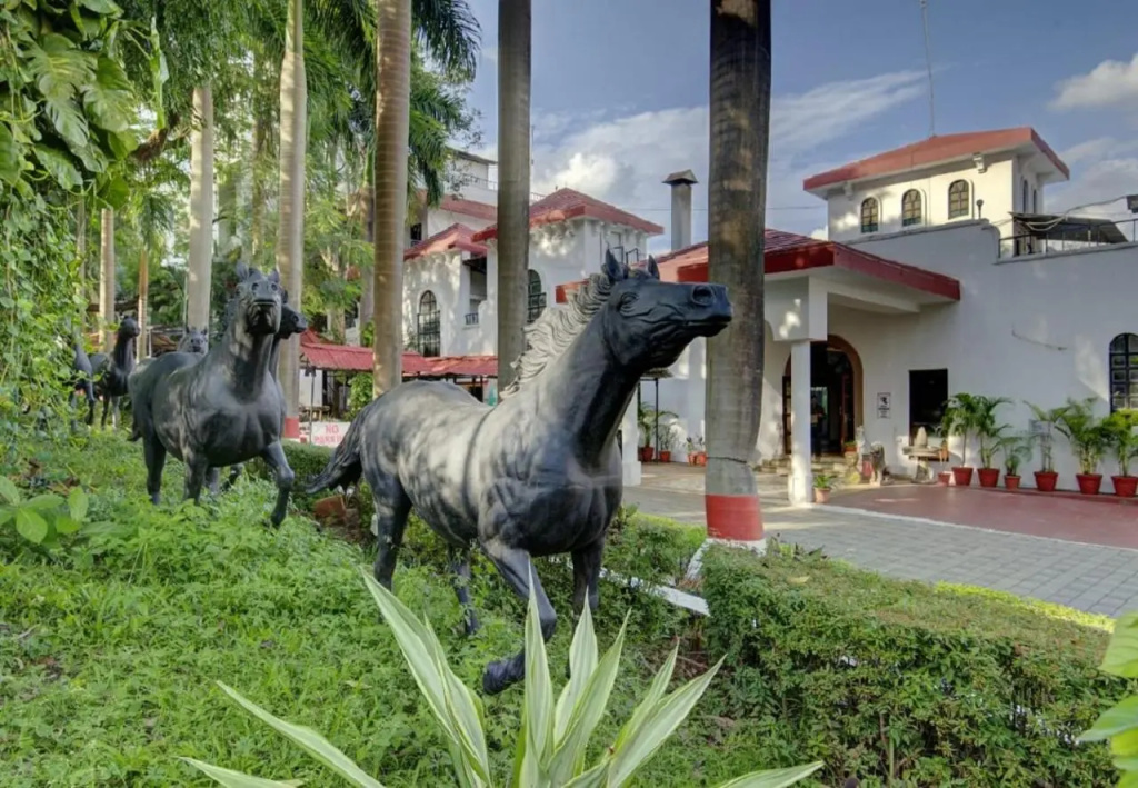 Hotel photo 23