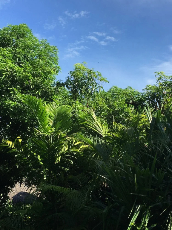 Madagascar Resort Nosy Be - Chambres