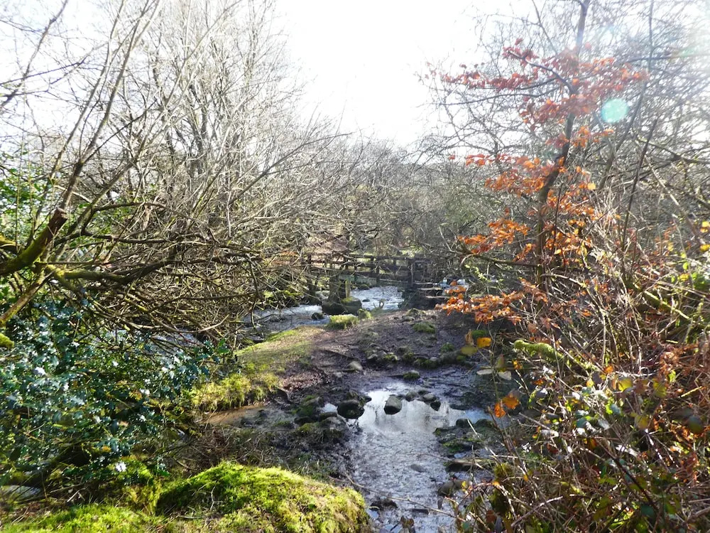 Dartmoor House B&B