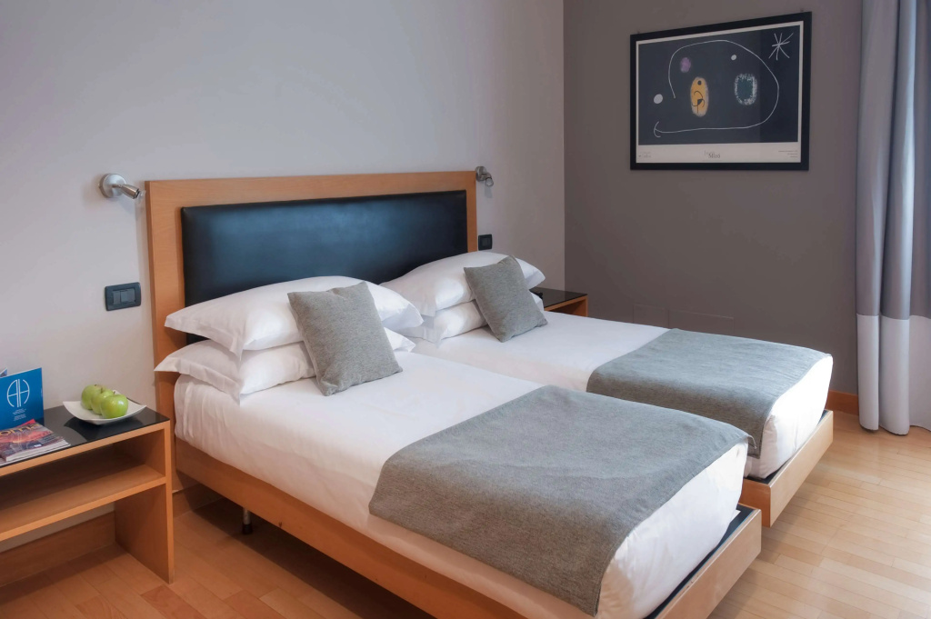 Standard Double room (twin beds)