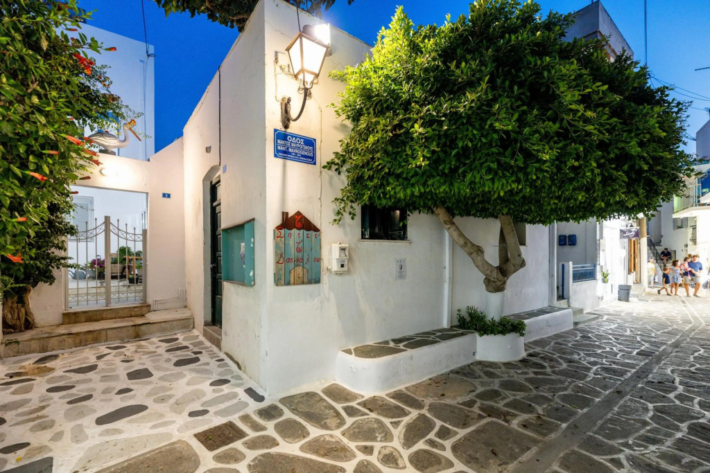 Pelican Paros