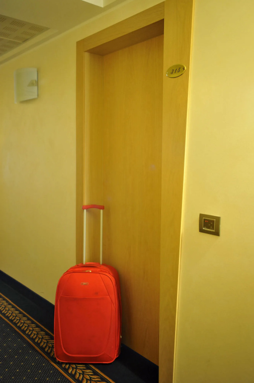 Palace Hotel Zingonia - Général