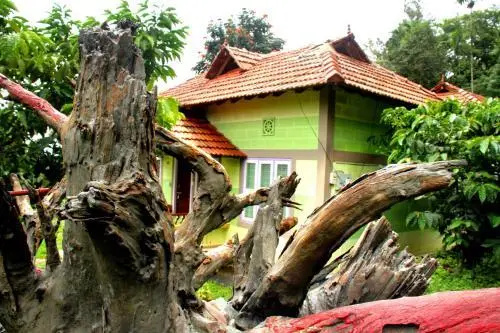 The mountain Resort
