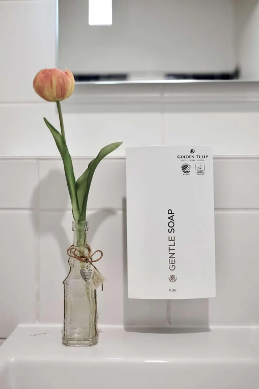 Tulip Inn Frankfurt Airport - Chambres