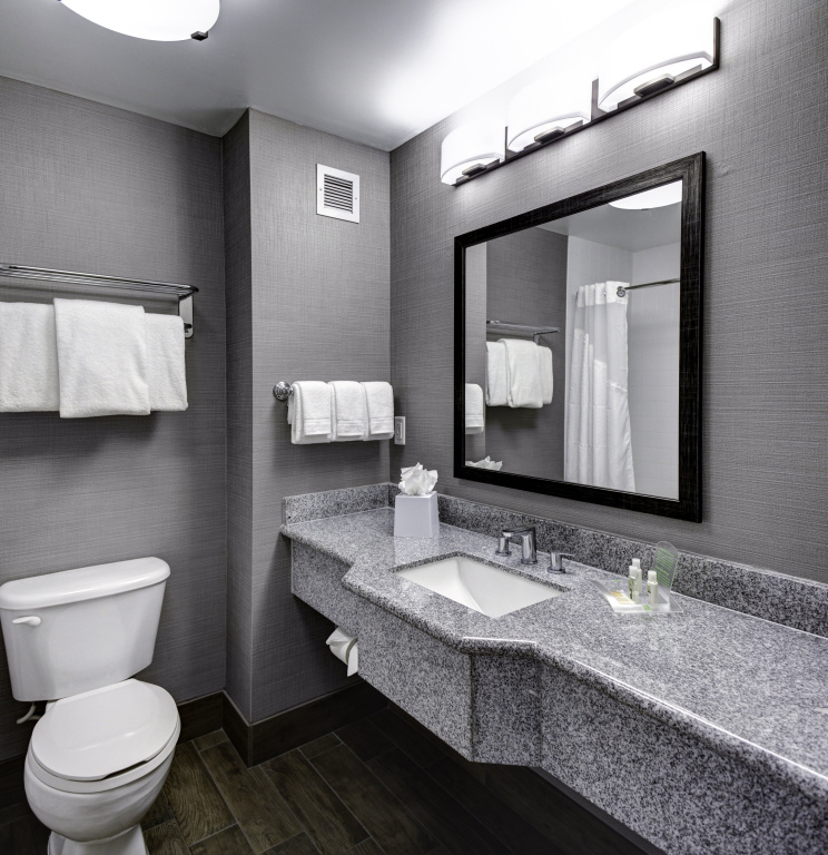 Holiday Inn Savannah Historic District by IHG - Général