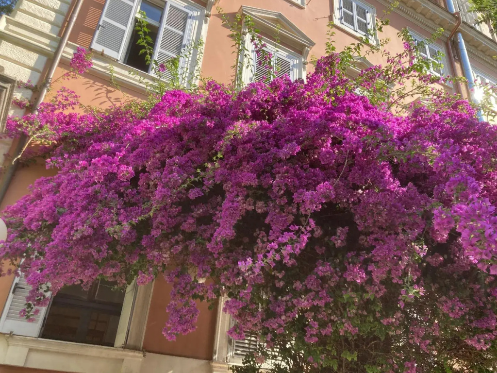Hotel Casa Valdese Roma