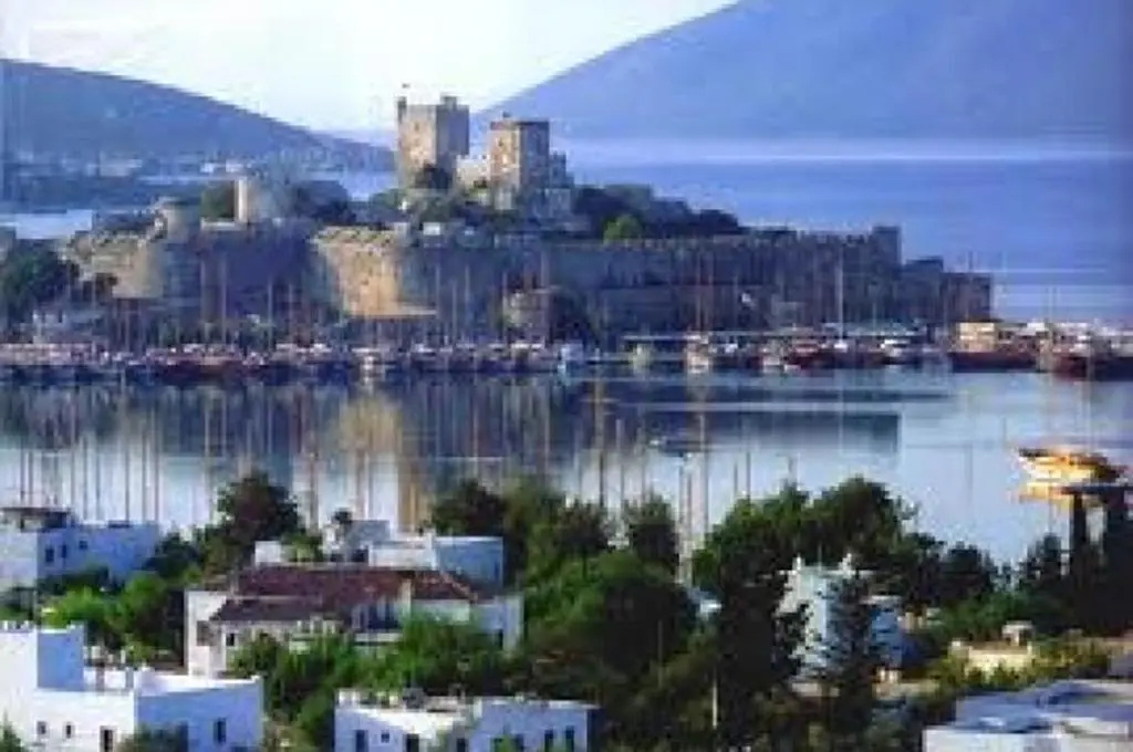 Beach & Waterfront