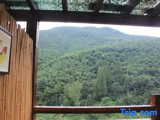 Moganshan Pinhouwu Hotel - Chambres