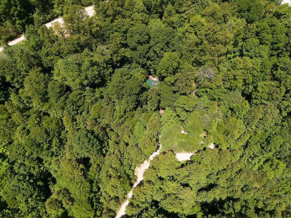 Wifi & Hot Tub, Large Family - Climb On in Rrg!