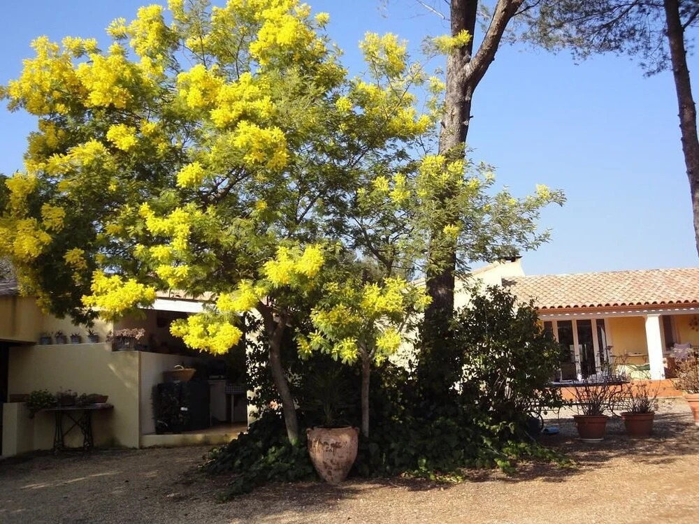 La Maison Des Chenes