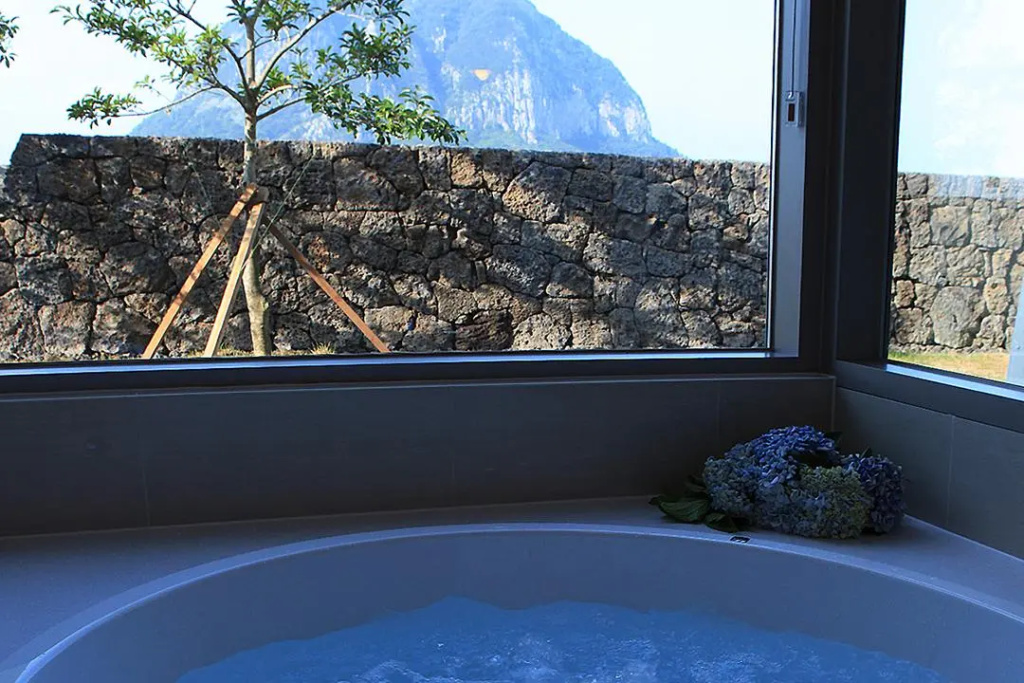 Standard Double room with mountain view (full double bed)