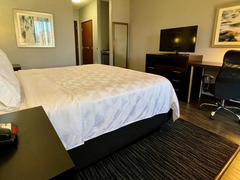Holiday Inn Carlsbad by IHG - Chambres