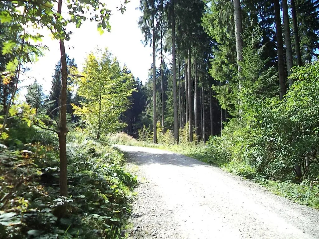 Ferienpark Oberallgäu - Invest Freizeit - Chambres