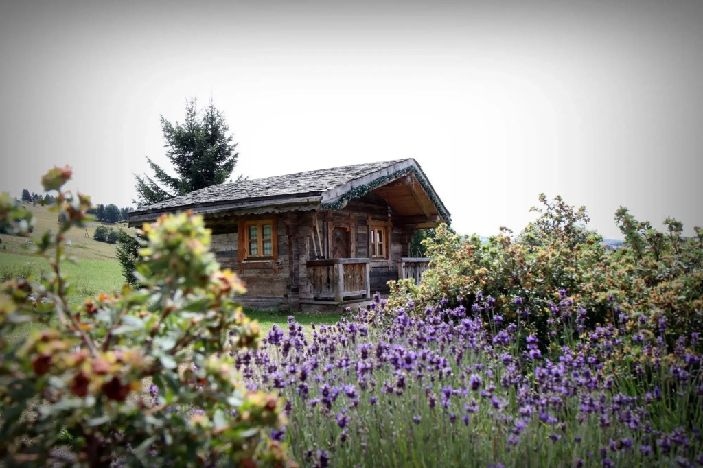 Hotel The Originals Le Manoir des Montagnes (ex Relais du Silence)