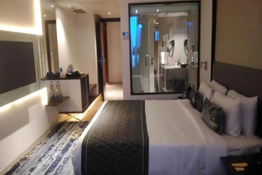 Sayaji Vadodara - фото 18