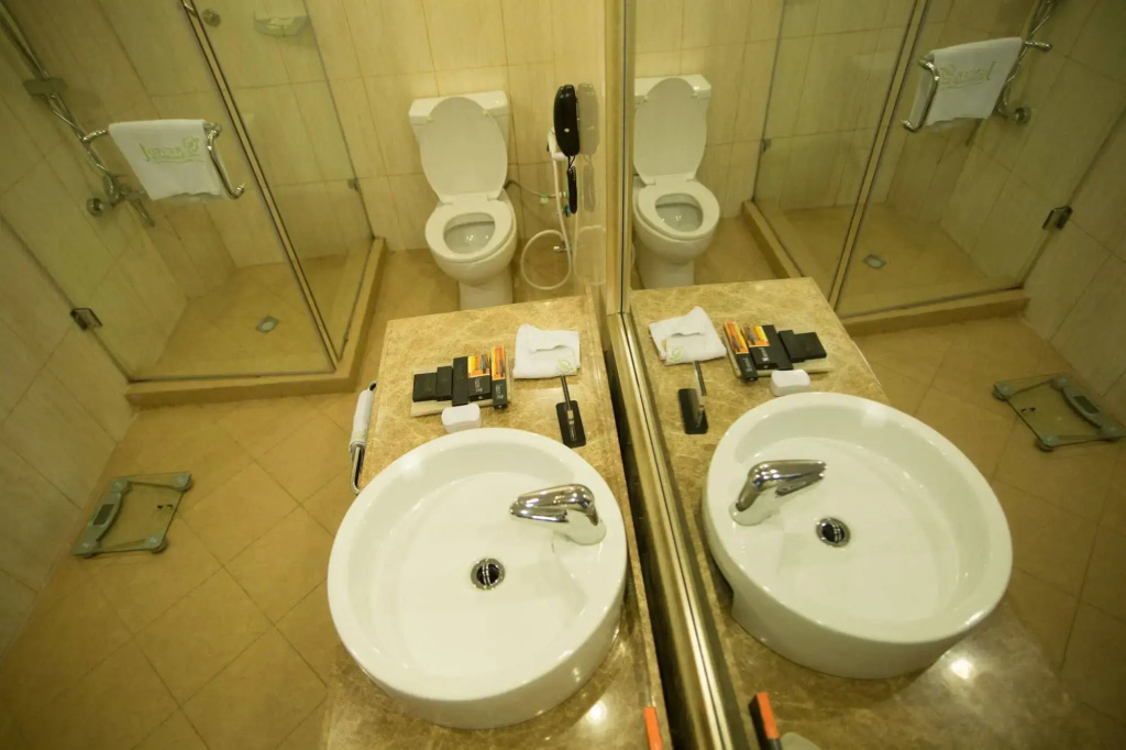 Jupiter International Hotel Bole - Général