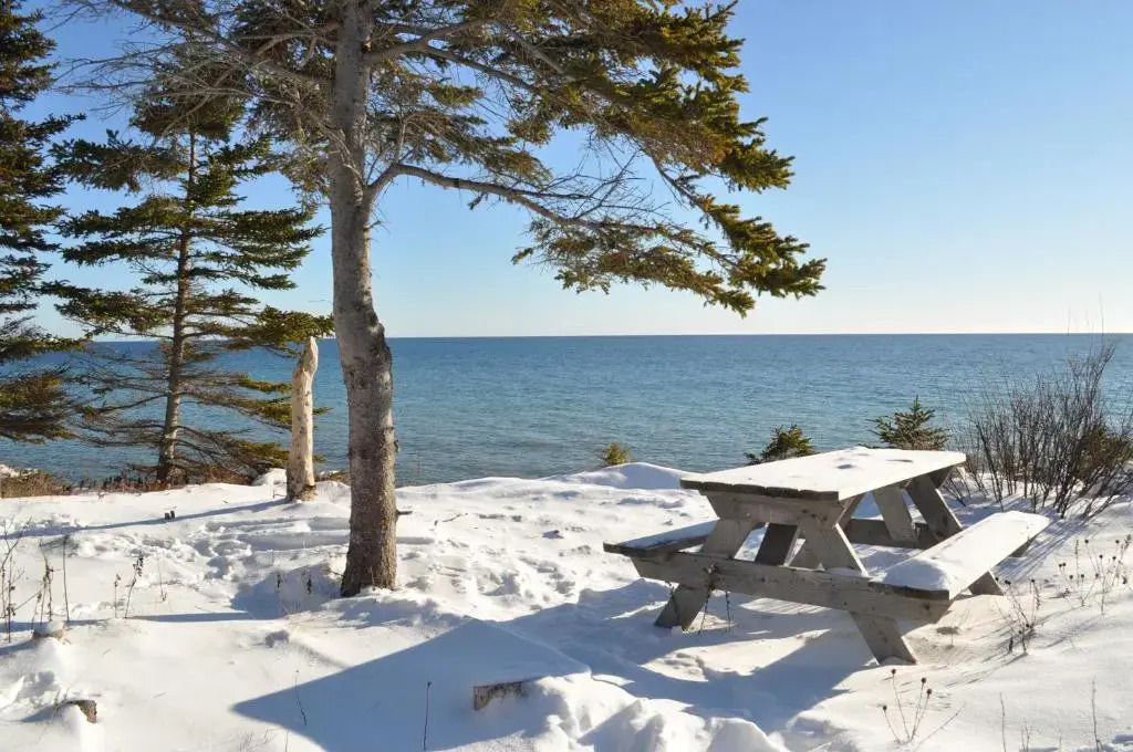 The Dancing Moose Cafe Cottage & Camping Cabins by null