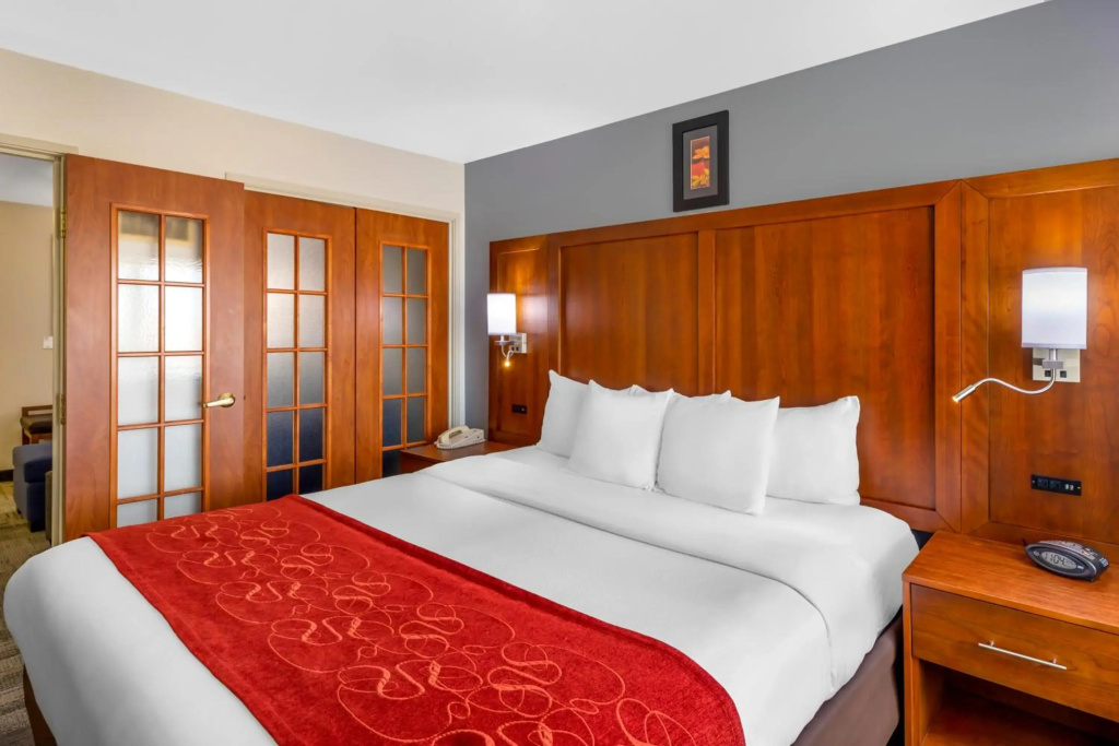 Comfort Suites Denver Tech Center - Général