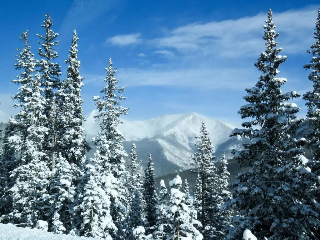 Telluride Lodge by Telluride Alpine Lodging - Chambres