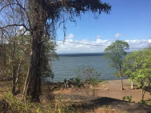 Monkeys Island Ometepe