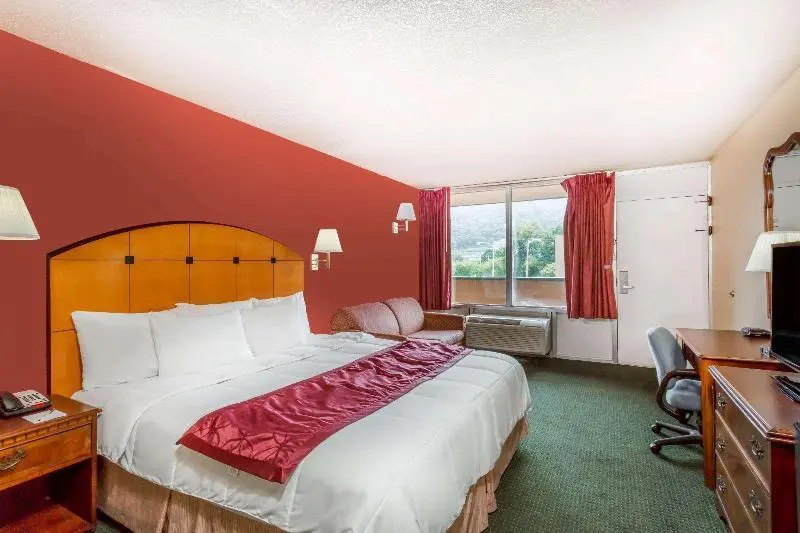Deluxe Double room (full double bed)