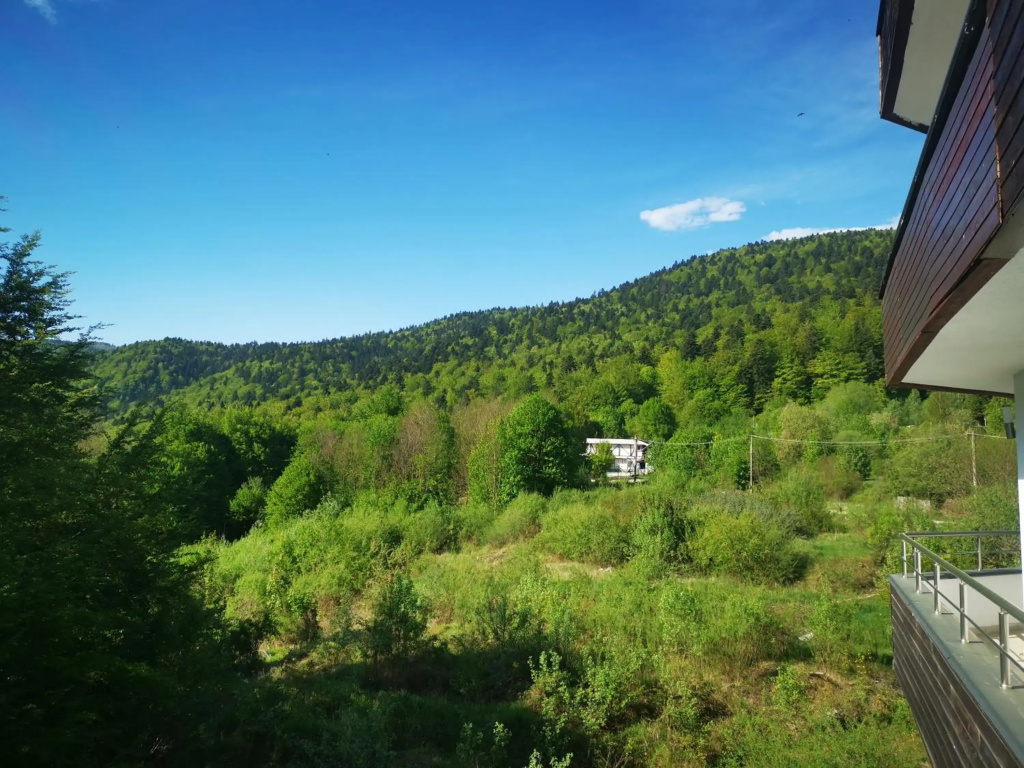 Apartament Dragoste și Lavandă Sinaia
