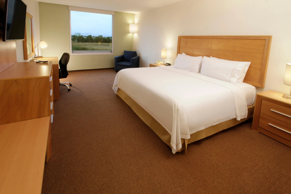 Holiday Inn Express & Suites Irapuato - Général