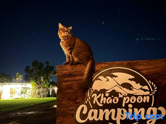 Khao Poon Camping