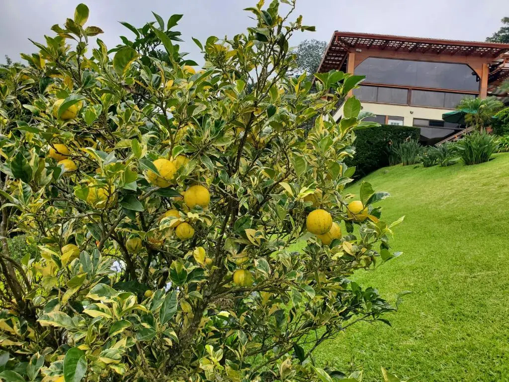 Finca Paraiso Mountain Retreat - фото 16