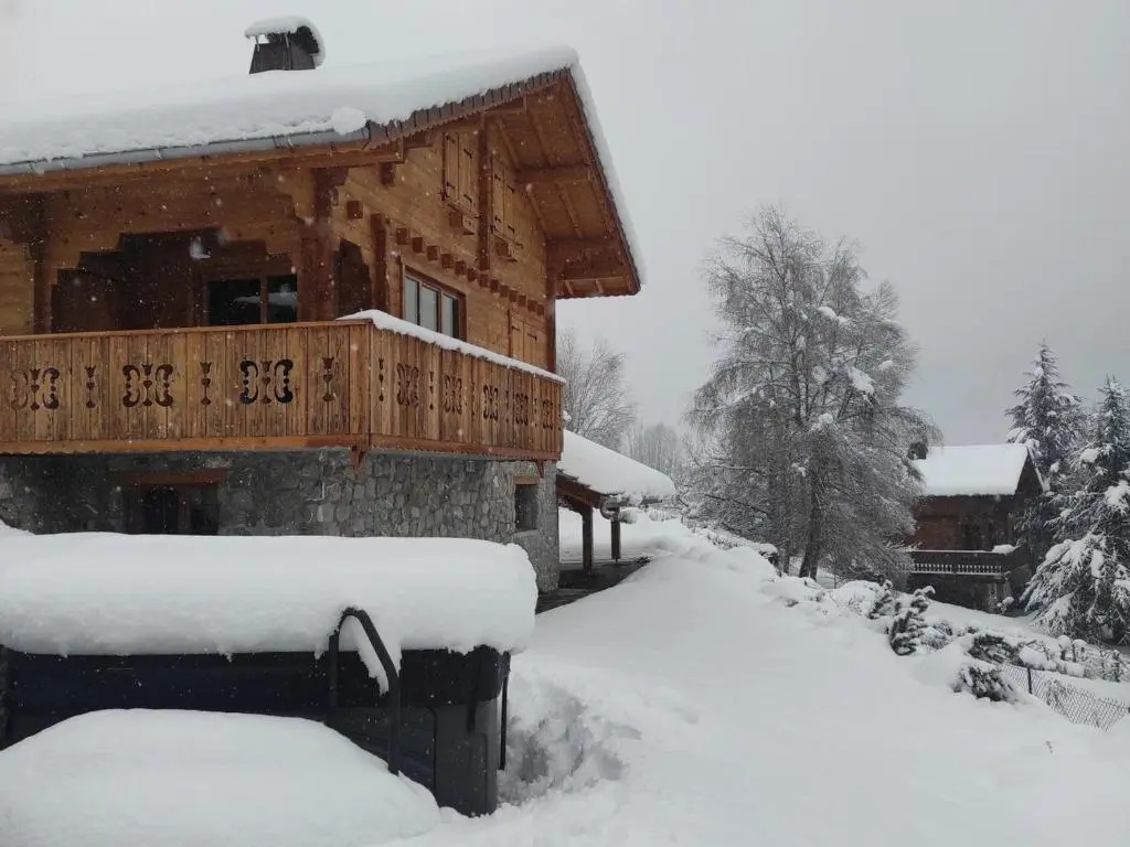 Chalet Morillon Village, 6 pièces, 9 personnes - FR-1-642-66
