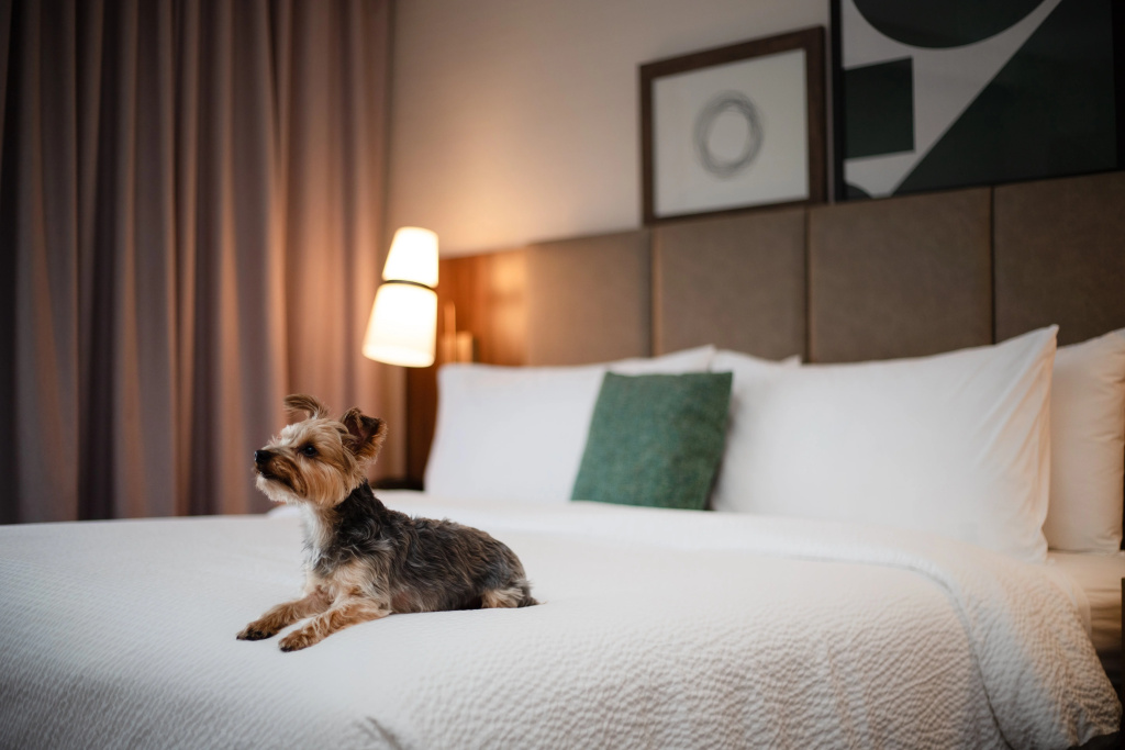 Staybridge Suites Chicago O'Hare - Rosemont by IHG - Général